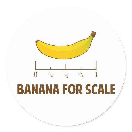 Banana For Scale Classic Round Sticker
