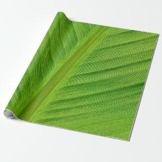 Banana leaf leaf banana fibers