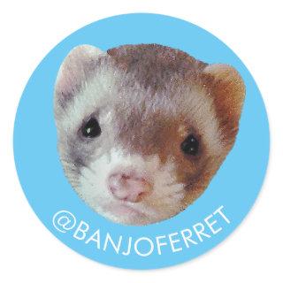 Banjo Face Sticker