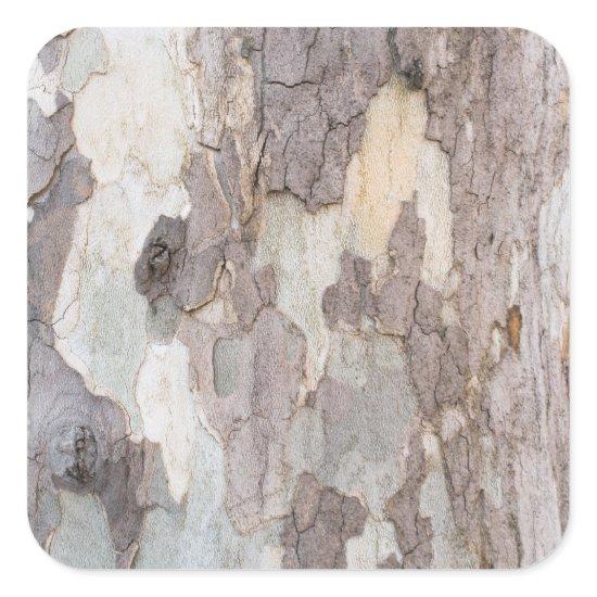 Bark of plane tree square sticker