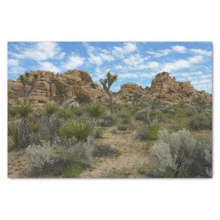 Barker Dam Loop Trail at Joshua Tree National Park Tissue Paper