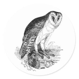 Barn Owl Classic Round Sticker
