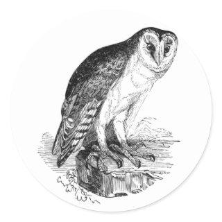 Barn Owl Classic Round Sticker