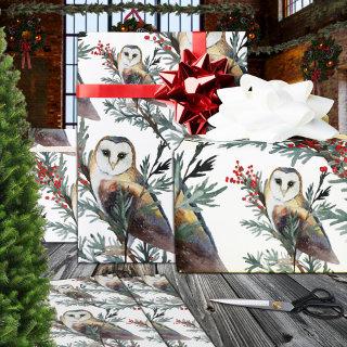 Barn Owls In A Juniper Tree Woodland Forest
