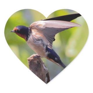 Barn Swallow Stickers