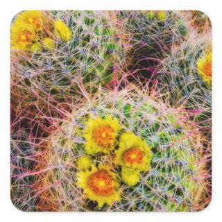 Barrel cactus close up, California Square Sticker