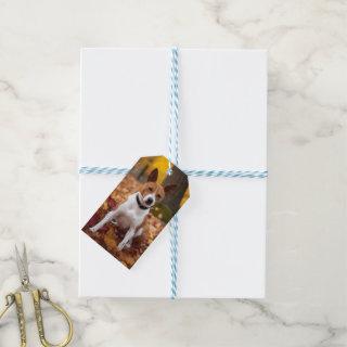 Basenji in Autumn Leaves Fall Inspire  Gift Tags