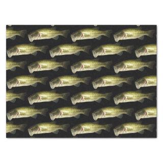 Bass Fish Masculine Pattern Mens Tissue Paper