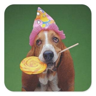 Basset Hound Birthday Lollipop Square Sticker