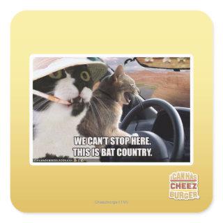 Bat country square sticker