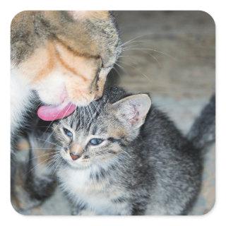 Bath time square sticker