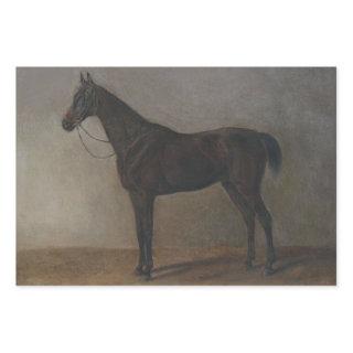Bay Gelding Horse (by Albrecht Adam)  Sheets