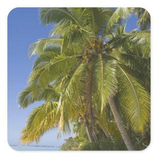 Beach on One Foot island, Aitutaki, Cook Islands Square Sticker