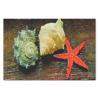 beach watercolor seashell starfish seashells  tissue paper