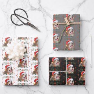 Beagle Christmas Dog Pattern  Sheets