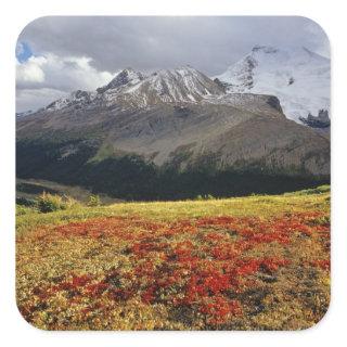 Bearberry in early autumn Athabasca Peak in the Square Sticker