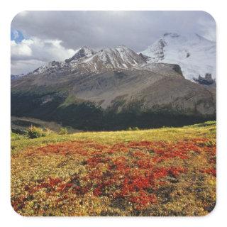 Bearberry in early autumn Athabasca Peak in the Square Sticker