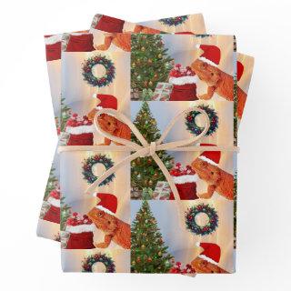 Beardie-Claus - Bearded Dragon Santa  Sheets
