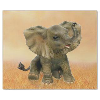 Beautiful African Baby Elephant