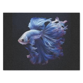 Beautiful Betta Tissue Paper