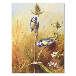 Beautiful Bluebirds on a Teasel Vintage Watercolor Tissue Paper