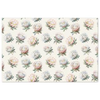 Beautiful blush white king protea flower pattern w tissue paper