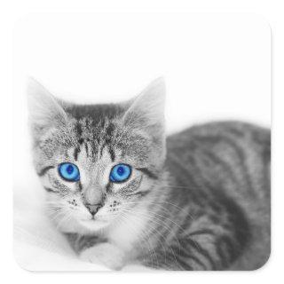 Beautiful Cat With Blue Eyes Square Sticker