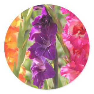 Beautiful Gladiolus Blooms Classic Round Sticker