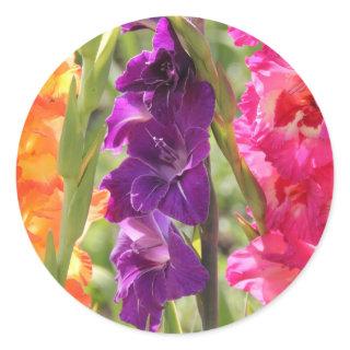 Beautiful Gladiolus Blooms Classic Round Sticker