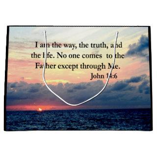 BEAUTIFUL JOHN 14:6 PHOTO DESIGN LARGE GIFT BAG