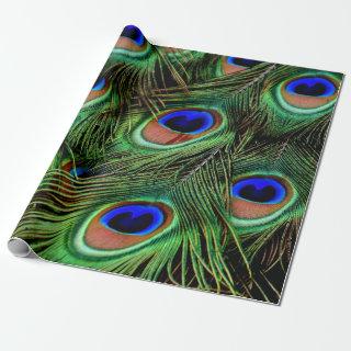 Beautiful Peacock Feathers