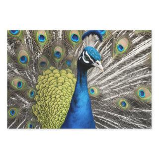Beautiful Peacock  Sheets