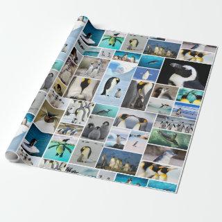 Beautiful Penguin Photo Collage Pattern