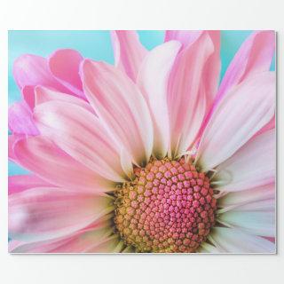 Beautiful Pink Flower Close Up Photo
