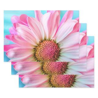 Beautiful Pink Flower Close Up Photo  Sheets