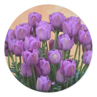 Beautiful purple spring tulips classic round sticker