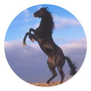 Beautiful rearing black horse with blue sky classic round sticker