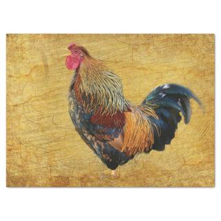 Beautiful Rustic Rooster Tissue Paper