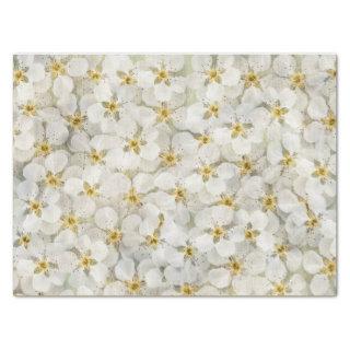 Beautiful Rustic Small White Flower Clusters  Tissue Paper