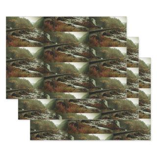 Beautiful Scenic Nature Photo Pattern  Sheets