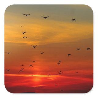 Beautiful Sunset Scenic Landscape Photographic Art Square Sticker