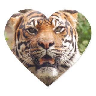 Beautiful tiger face print heart sticker