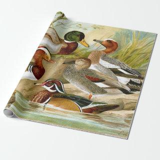 Beautiful Vintage Ducks At The Pond Decoupage