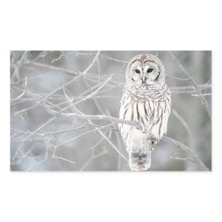 Beautiful White Snow Owl Design Rectangular Sticker