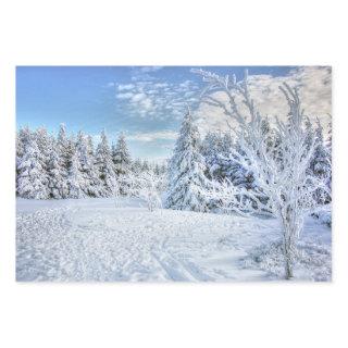Beautiful Winter Snow Forest Scene     Sheets