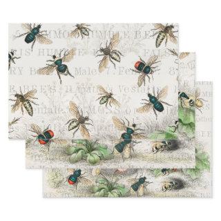 Bee Honey Worker Queen Bees Antique   Sheets