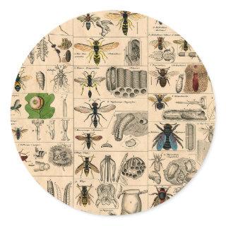 Bee Insect Bug Wasp Natural Nature Bees Painting Classic Round Sticker