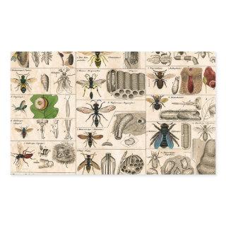 Bee Insect Bug Wasp Natural Nature Bees Painting Rectangular Sticker