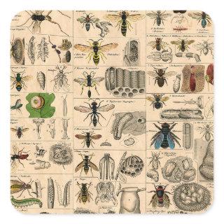 Bee Insect Bug Wasp Natural Nature Bees Painting Square Sticker