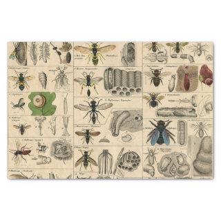 Bee Insect Bug Wasp Natural Nature Bees Painting Tissue Paper